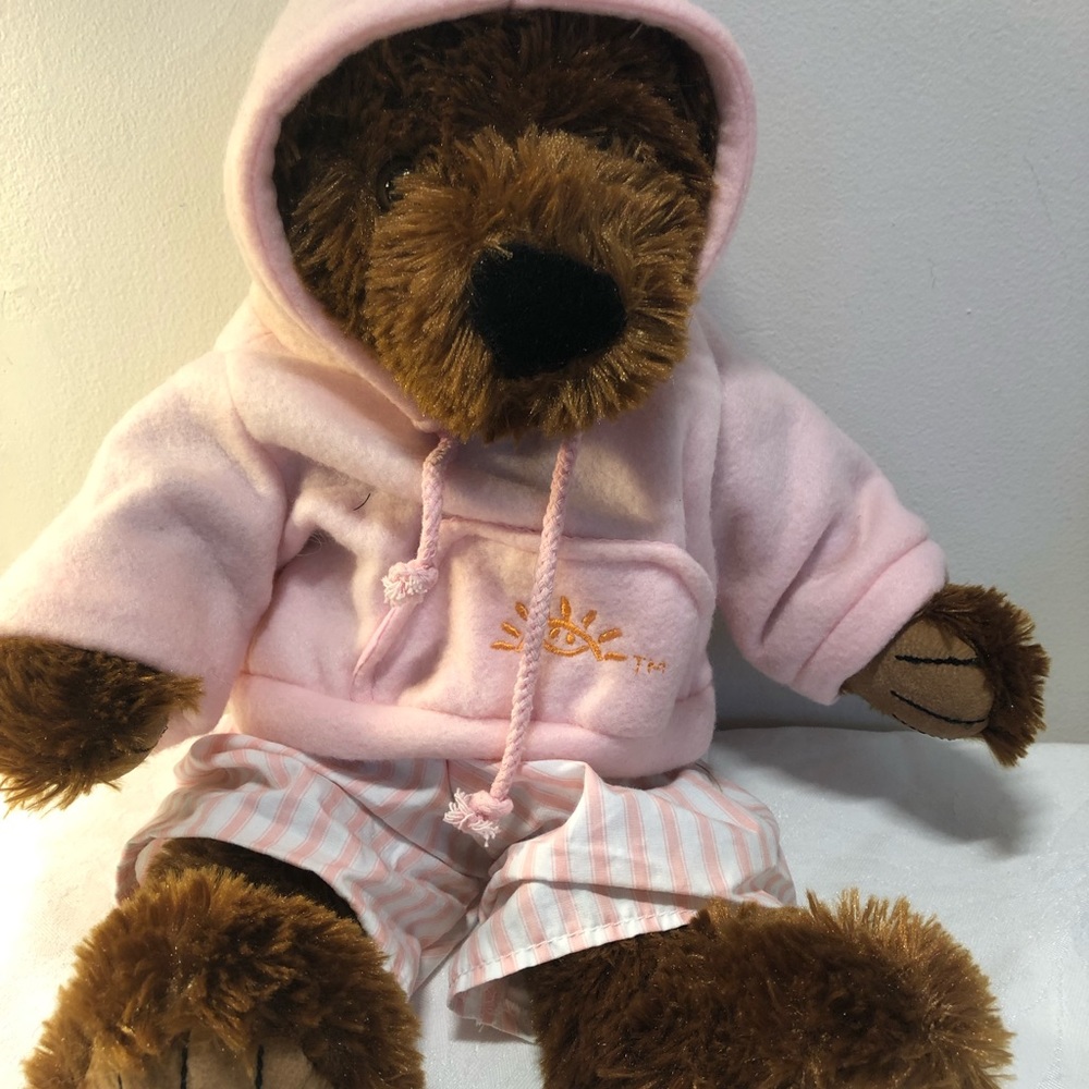Bear Plush with cute pink pajamas Rare, like new, BlueLoyal
